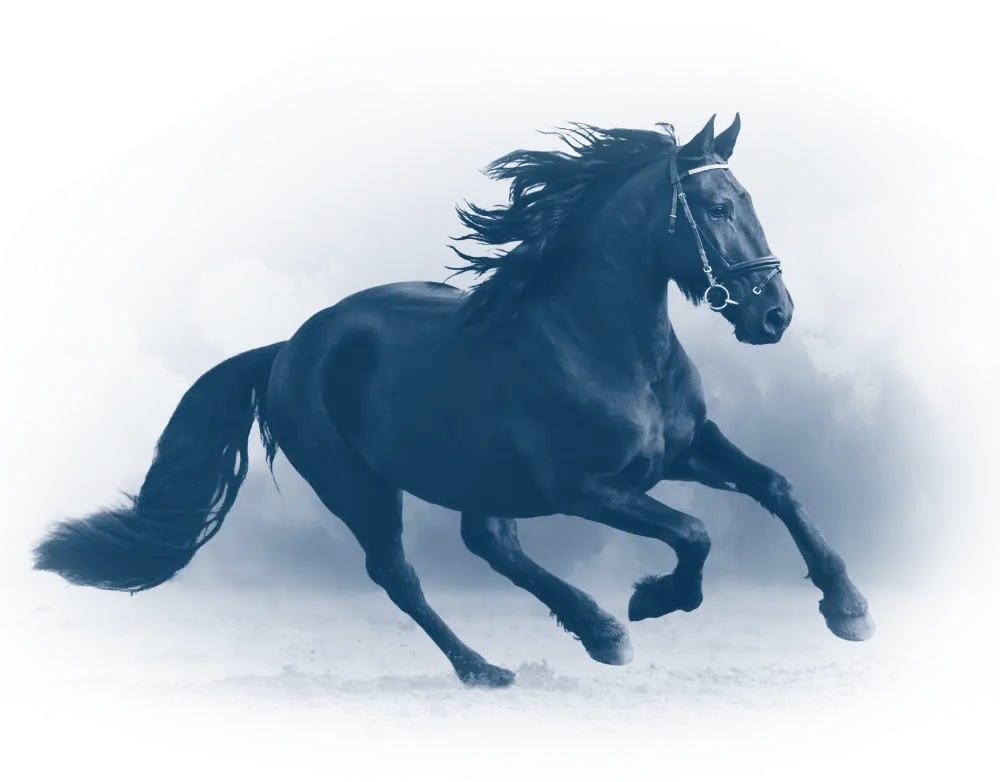 Caballo negro trotando